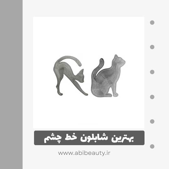 شابلون ابرو و خط چشم مدل Cat Line مجموعه 2 عددی شابلون ابرو و خط چشم مدل Cat Line مجموعه 2 عددی
