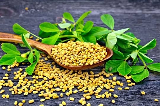 دانه های شنبلیله دانه های شنبلیله