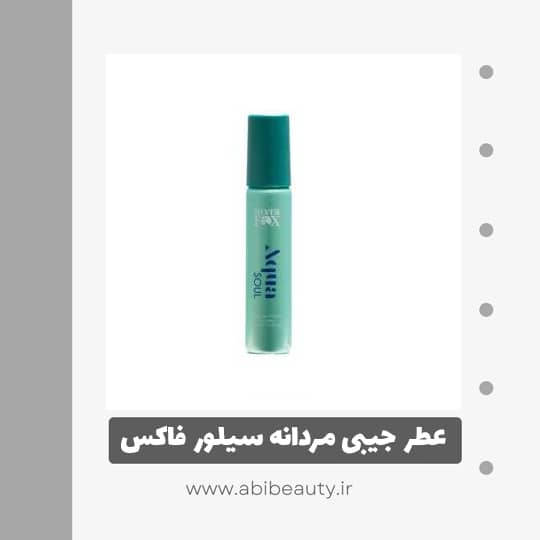 عطر جیبی مردانه سیلور فاکس مدل آکوآ حجم 25 میلی لیتر عطر جیبی مردانه سیلور فاکس مدل آکوآ حجم 25 میلی لیتر
