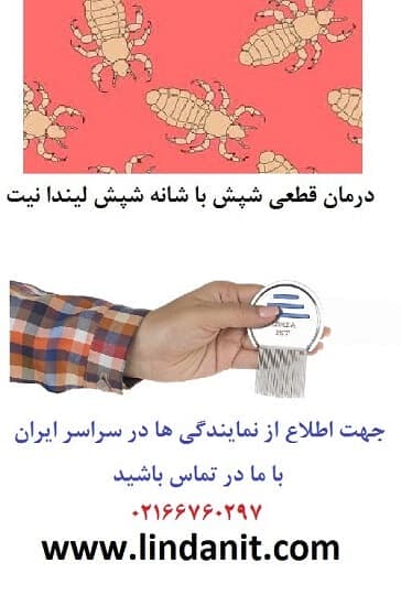درمان رشک ، از بین بردن سریع رشک ، درمان تخم شپش درمان رشک ، از بین بردن سریع رشک ، درمان تخم شپش