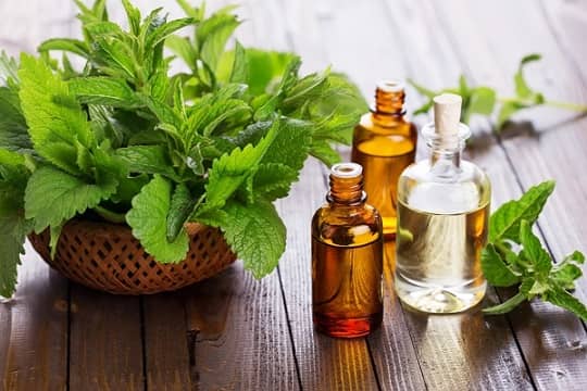 روغن نعناع  روغن نعناع
