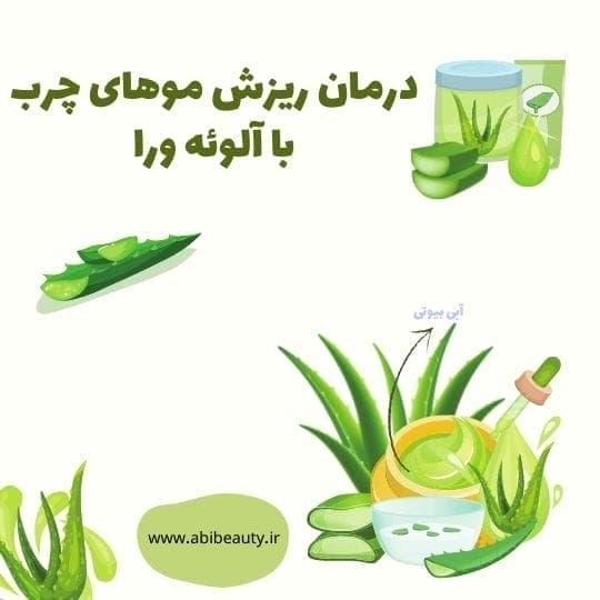 درمان ریزش موی چرب با آلوئه ورا درمان ریزش موی چرب با آلوئه ورا