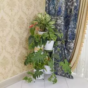 استند گلدان مدل فلک الافلاک مینی