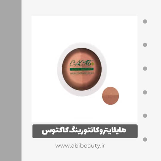 هایلایتر و کانتورینگ کاکتوس شماره 43 هایلایتر و کانتورینگ کاکتوس شماره 43