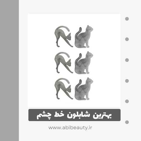 شابلون ابرو و خط چشم مدل Cat Line مجموعه 6 عددی شابلون ابرو و خط چشم مدل Cat Line مجموعه 6 عددی