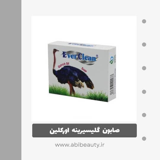 صابون گلیسیرینه اورکلین مدل شتر مرغ وزن 65 گرم صابون گلیسیرینه اورکلین مدل شتر مرغ وزن 65 گرم