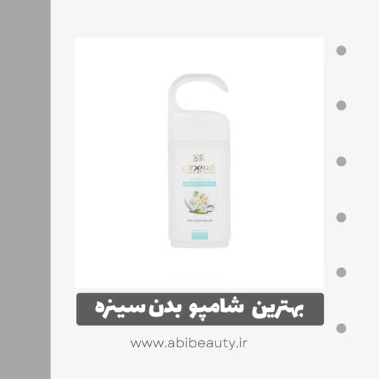 شامپو بدن سینره حجم 250 میلی لیتر شامپو بدن سینره حجم 250 میلی لیتر