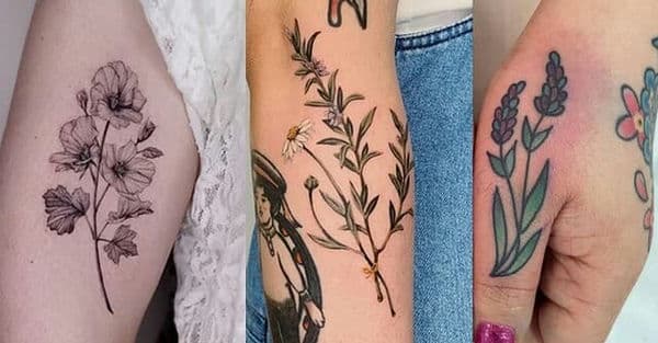 رنگ تتو گیاهی رنگ تتو گیاهی