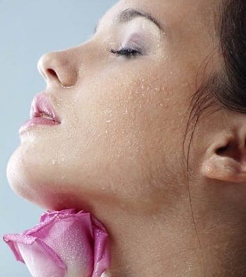 چوب صندل و گلاب  چوب صندل و گلاب