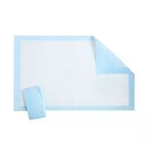 پد زیر انداز بهداشتی بنلا مدل B1 بسته 10 عددی 