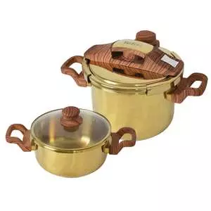 زودپز دوقلو تفال مدل Gold01 زودپز دوقلو تفال مدل Gold01