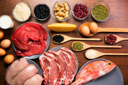 مواد غذایی پروتئینی مواد غذایی پروتئینی