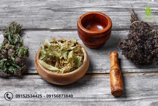 گیاهان دارویی مشهد گیاهان دارویی مشهد