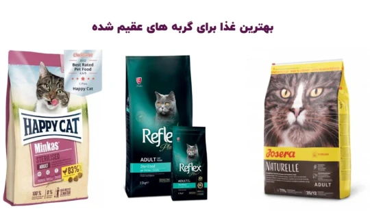 بهترین غذای گربه عقیم شده بهترین غذای گربه عقیم شده