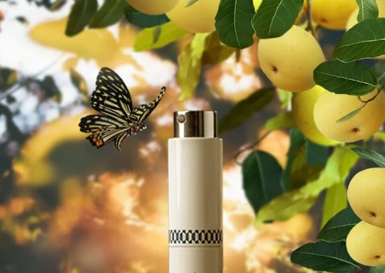 بهترین عطر با رایحه سیب بهترین عطر با رایحه سیب
