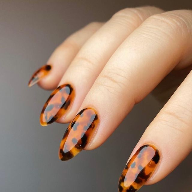 ناخن ژله‌ای لاک‌پشتی
