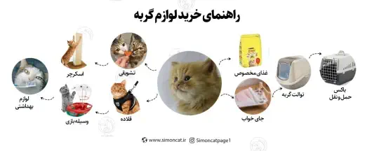 راهنمای خرید لوازم گربه راهنمای خرید لوازم گربه