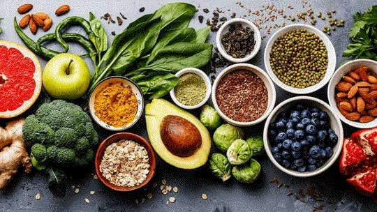 تغذیه تغذیه