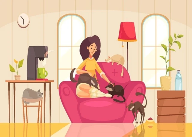 خرید اسکرچر برای گربه خرید اسکرچر برای گربه