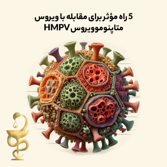 ۵ راه مؤثر برای مقابله با ویروس متاپنوموویروس HMPV با داروهای گیاهی و درمانهای سنتی ۵ راه مؤثر برای مقابله با ویروس متاپنوموویروس HMPV با داروهای گیاهی و درمانهای سنتی