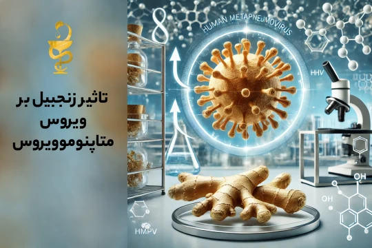 ۵ راه مؤثر برای مقابله با ویروس متاپنوموویروس HMPV با داروهای گیاهی و درمانهای سنتی ۵ راه مؤثر برای مقابله با ویروس متاپنوموویروس HMPV با داروهای گیاهی و درمانهای سنتی