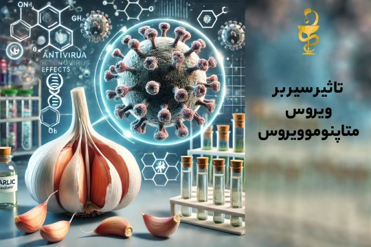 ۵ راه مؤثر برای مقابله با ویروس متاپنوموویروس HMPV با داروهای گیاهی و درمانهای سنتی ۵ راه مؤثر برای مقابله با ویروس متاپنوموویروس HMPV با داروهای گیاهی و درمانهای سنتی