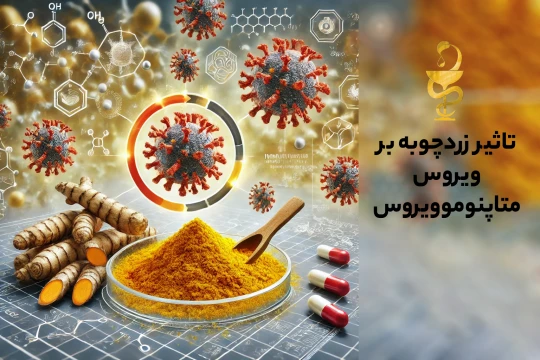 ۵ راه مؤثر برای مقابله با ویروس متاپنوموویروس HMPV با داروهای گیاهی و درمانهای سنتی ۵ راه مؤثر برای مقابله با ویروس متاپنوموویروس HMPV با داروهای گیاهی و درمانهای سنتی