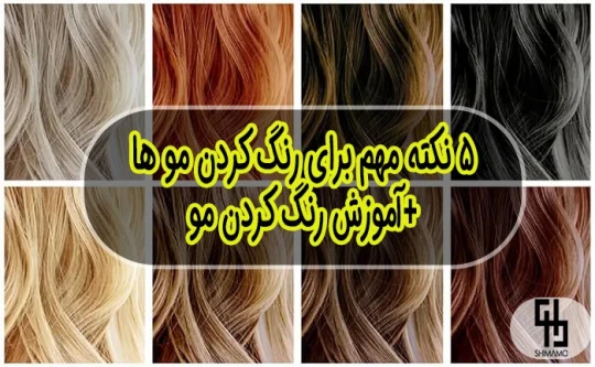 آموزش رنگ مو - شیما محمدزاده آموزش رنگ مو - شیما محمدزاده
