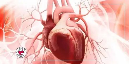 دکتر قلب در اصفهان - دکتر حکمت دکتر قلب در اصفهان - دکتر حکمت
