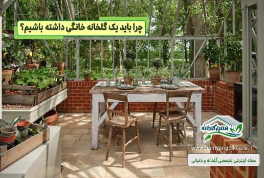 مزایای راه اندازی گلخانه خانگی مزایای راه اندازی گلخانه خانگی