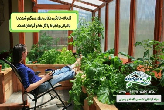 مزایای گلخانه خانگی مزایای گلخانه خانگی